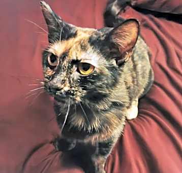 Photo of Carmen W