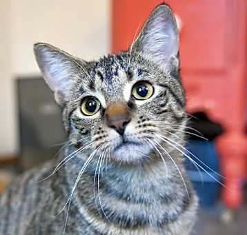 Photo of Alvin