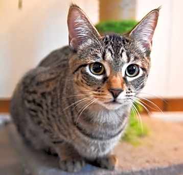 Photo of Theodore