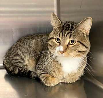 Photo of Elroy