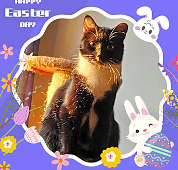 Photo of Missie