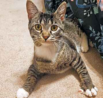 Photo of Dorothy