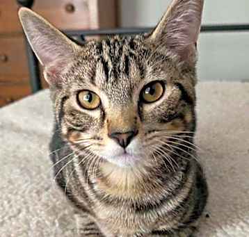 Photo of William