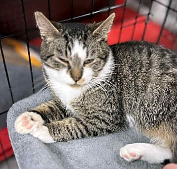 Photo of Flame