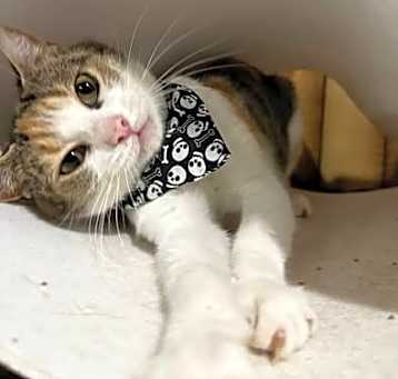 Photo of Matilda