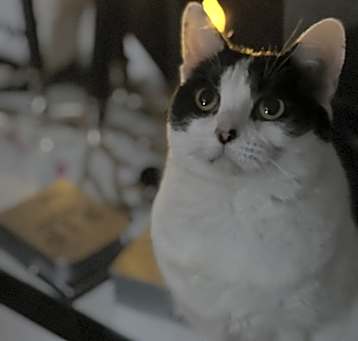 Photo of Lil bit