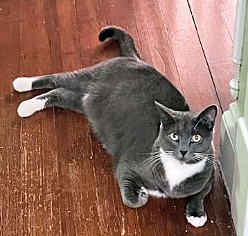 Photo of Rocky