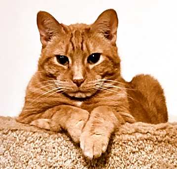 Photo of Thomas