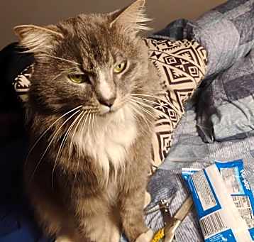 Photo of Lucy