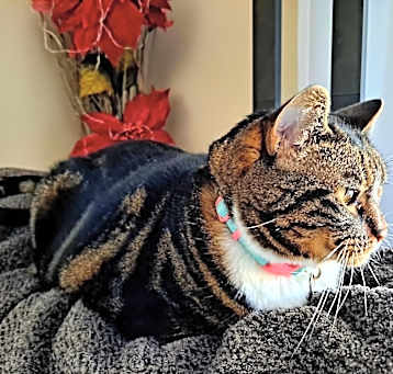 Photo of Leila