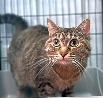 Photo of Nyra
