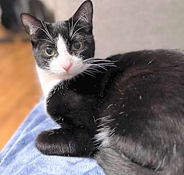 Photo of Meela