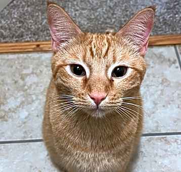 Photo of Butters