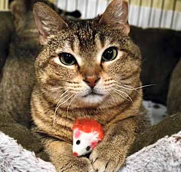 Photo of Delilah