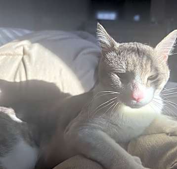 Photo of Stretch