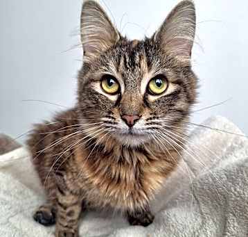 Photo of Ivy Wiggles