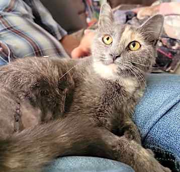 Photo of Kiwi