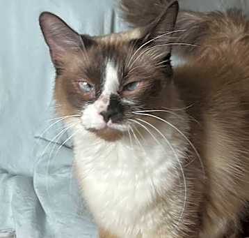 Photo of Gitisha