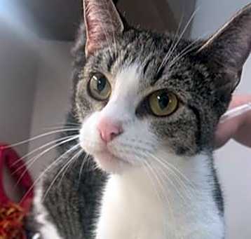 Photo of BETTY