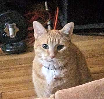 Photo of Speedy