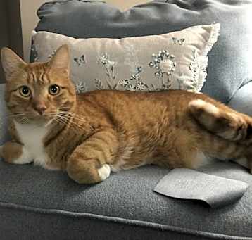 Photo of Leo