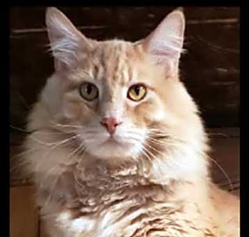 Photo of Patty