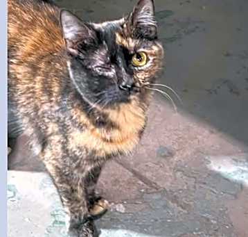 Photo of Winnie