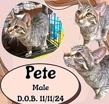 Photo of Pete
