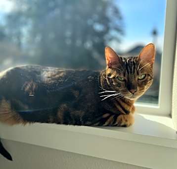 Photo of Zahra