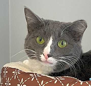 Photo of Nellie