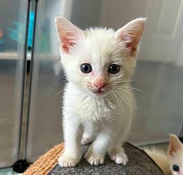 Photo of Yuki