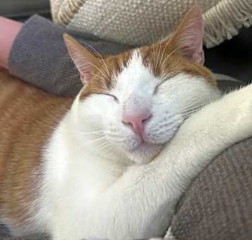 Photo of Gus