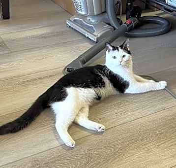 Photo of Puppa