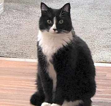 Photo of Boots