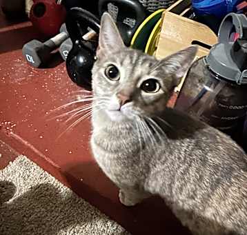Photo of Mina