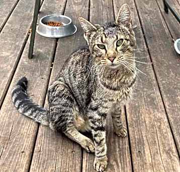 Photo of Cisco