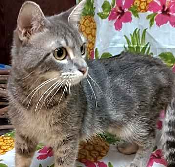 Photo of Tess