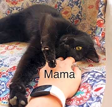 Photo of Mama (Kiki)