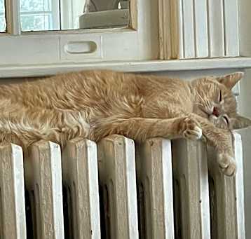 Photo of Jasper