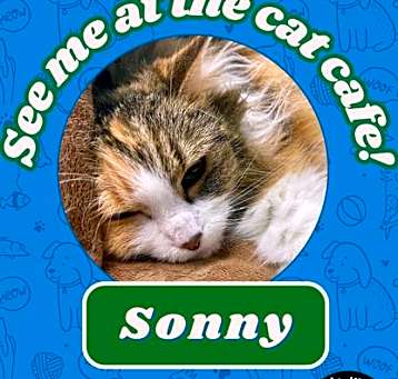 Photo of Sonny