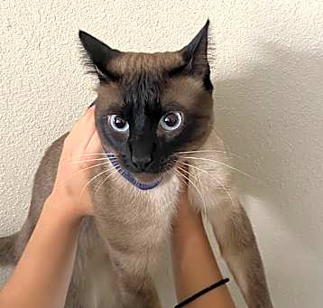 Photo of Yuki