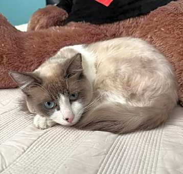 Photo of Leo