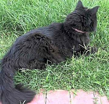 Photo of Starbuck