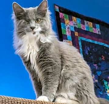 Photo of Glenda