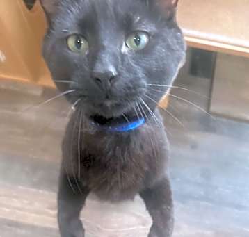 Photo of Thurston