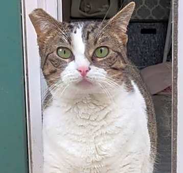 Photo of Candy
