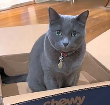 Photo of Missy