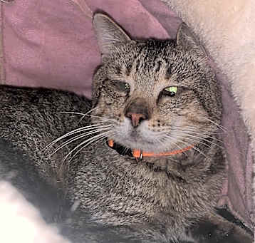 Photo of Charlie