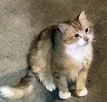 Photo of Quinn