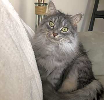 Photo of Olivia